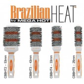 Thermal Ceramic & Ionic 4 Brush Set