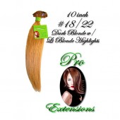 10" Volumizer Clip In - #18/22
